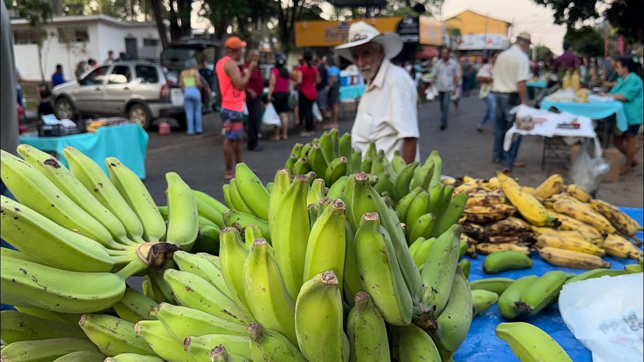 FEIRA RURAL DE ITAPURANGA/Goiás