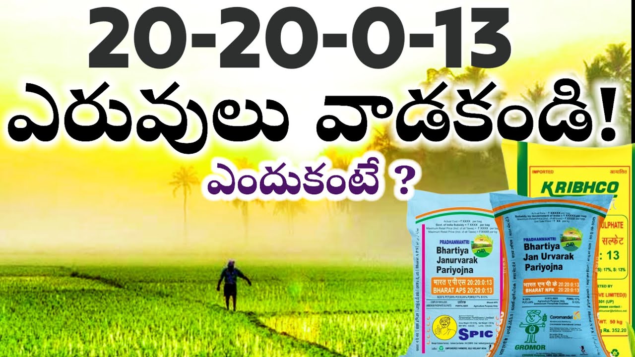 Varilo yeruvula yajamanyam | 20-20-0-13 ఎరువులు వేయకండి ! ఎందుకంటే ?