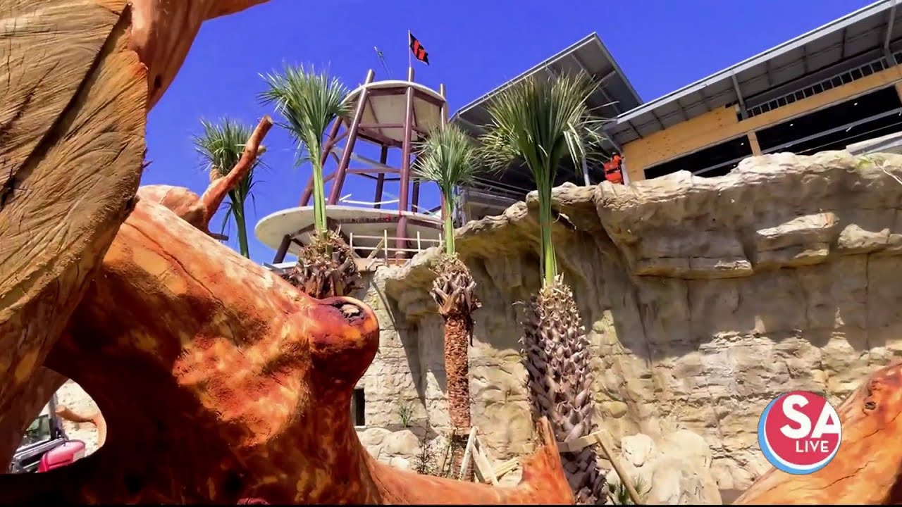 Inside Congo Falls gorilla exhibit at San Antonio Zoo