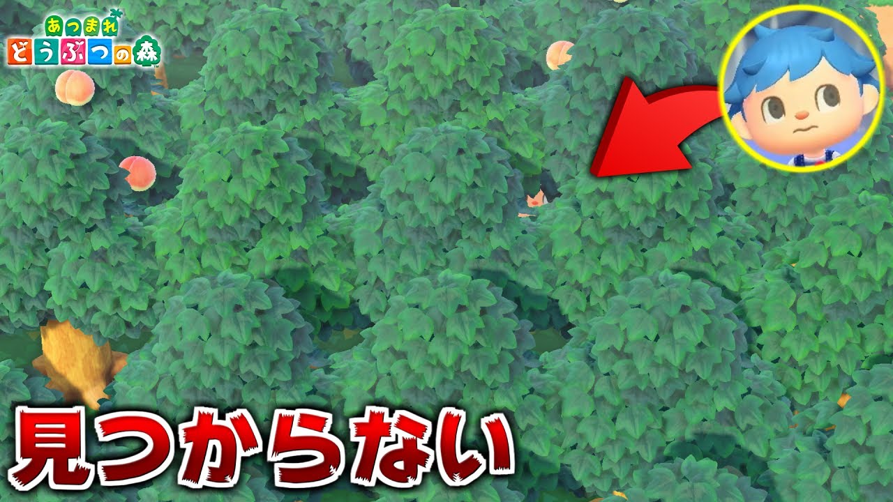 島全体に木しか植えられてない島でかくれんぼしたら無敵説【あつ森】【あつまれどうぶつの森検証】