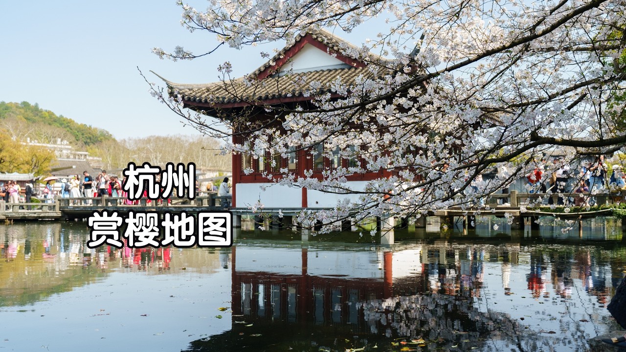 2026杭州赏樱指南｜4K杜比视界