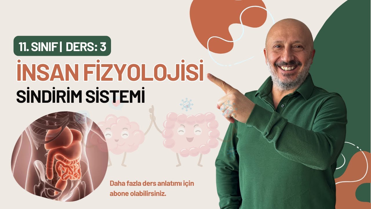 11. Sınıf Biyoloji | Sindirim Sistemi - Ders 3 | İnsan Fizyolojisi