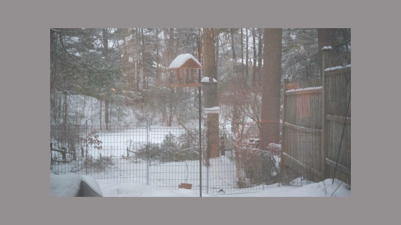 2024.12.31 - ambient snowfall - Super Gemini | Chase Bliss MOOD