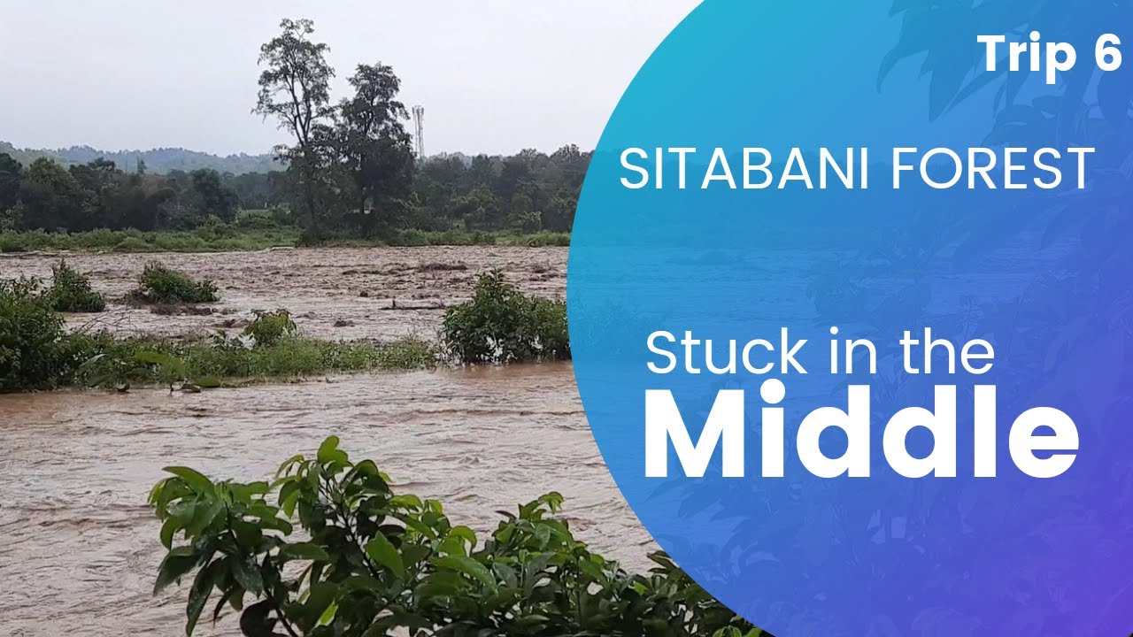 Trip to SITABANI FOREST RANGE (Corbett national park)-stuck in the middle.
