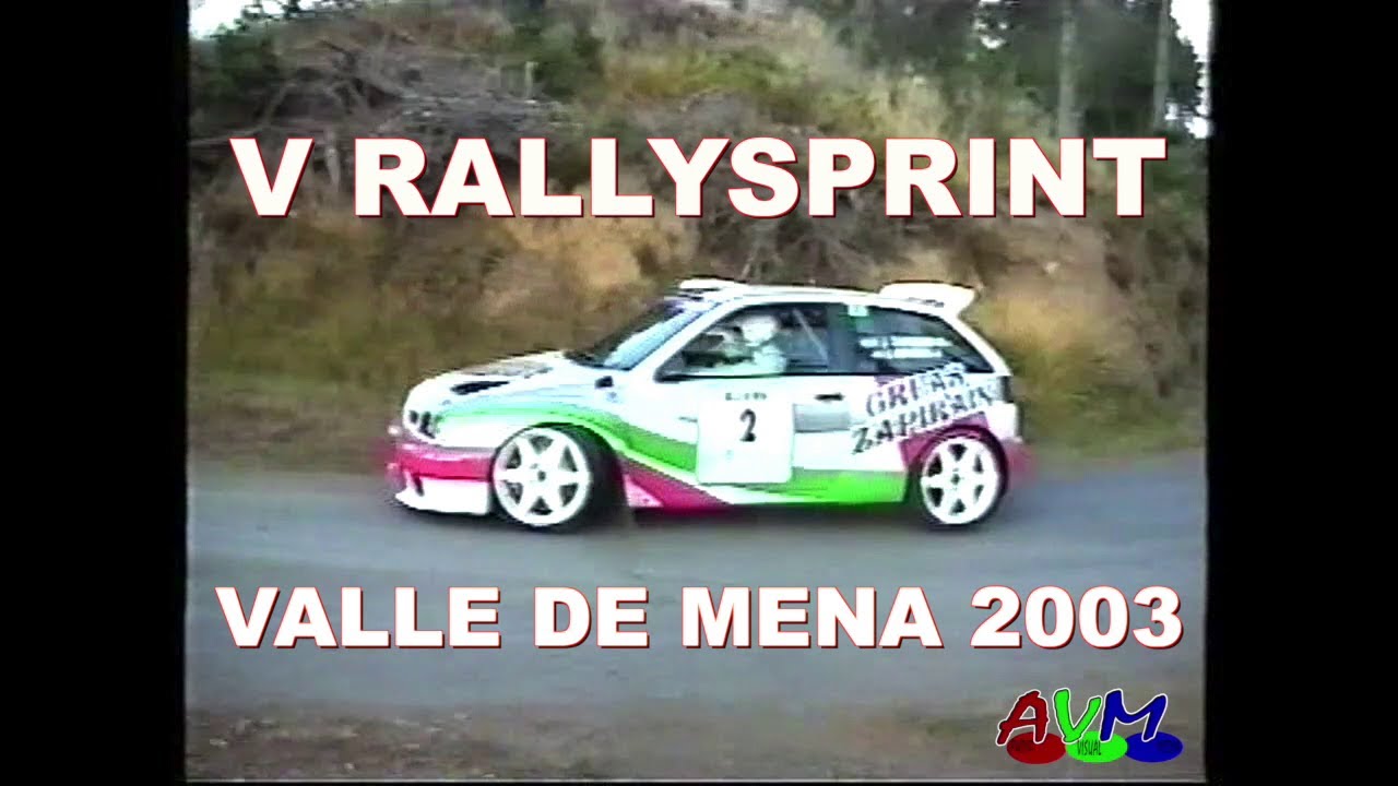 V RALLYSPRINT VALLE DE MENA 2003