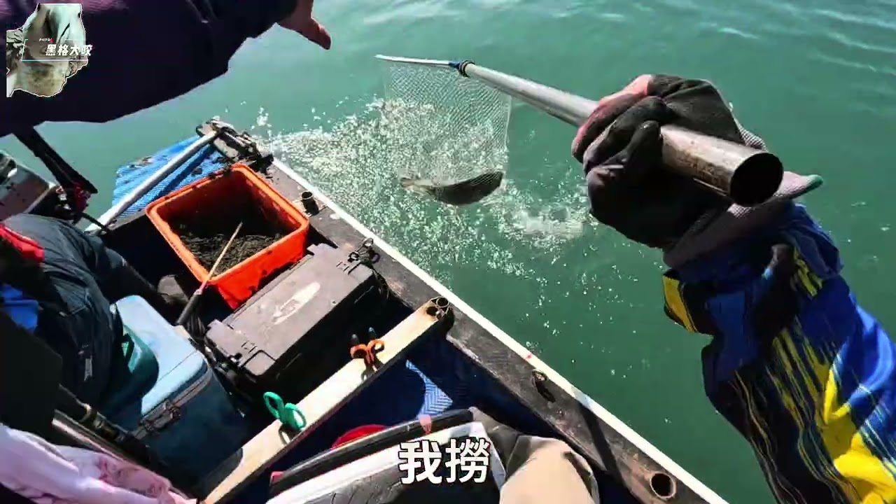 外傘釣遊紀錄