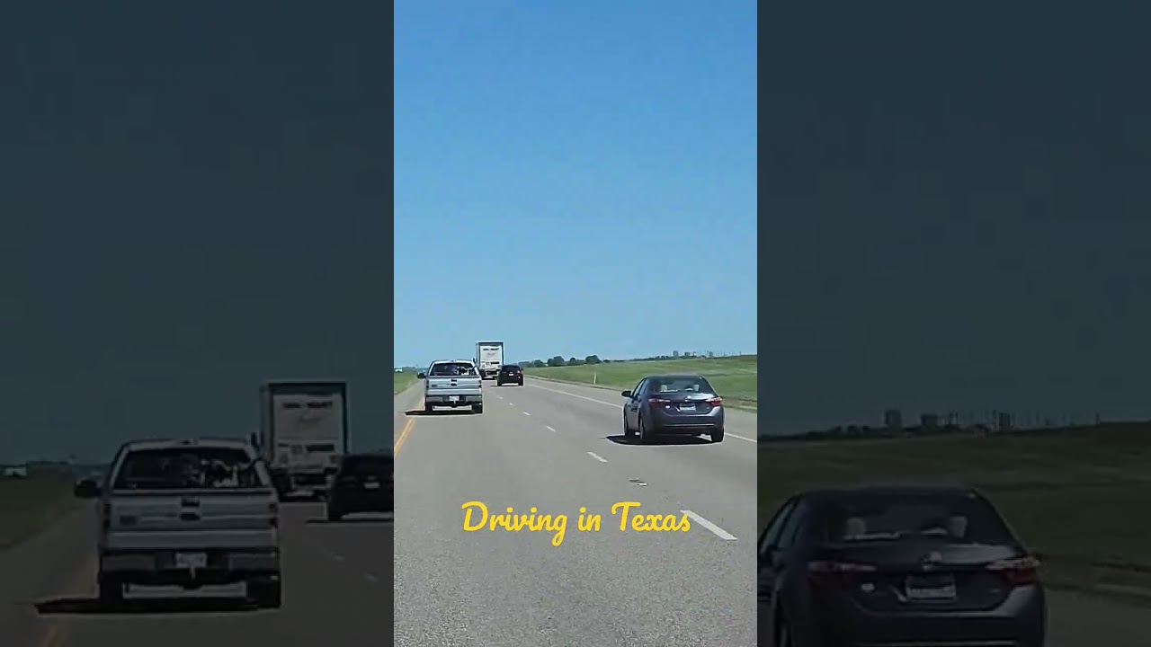 Driving in Texas - Part One #cow #Texas