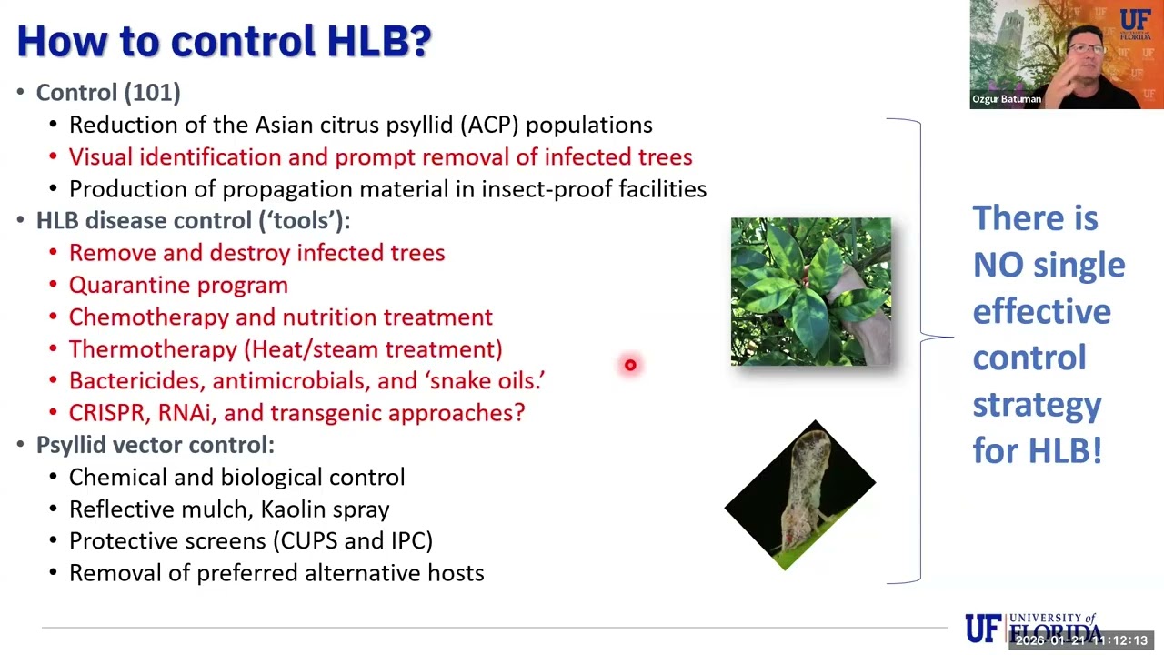 Development and integration of practical tools to manage HLB in citrus groves.