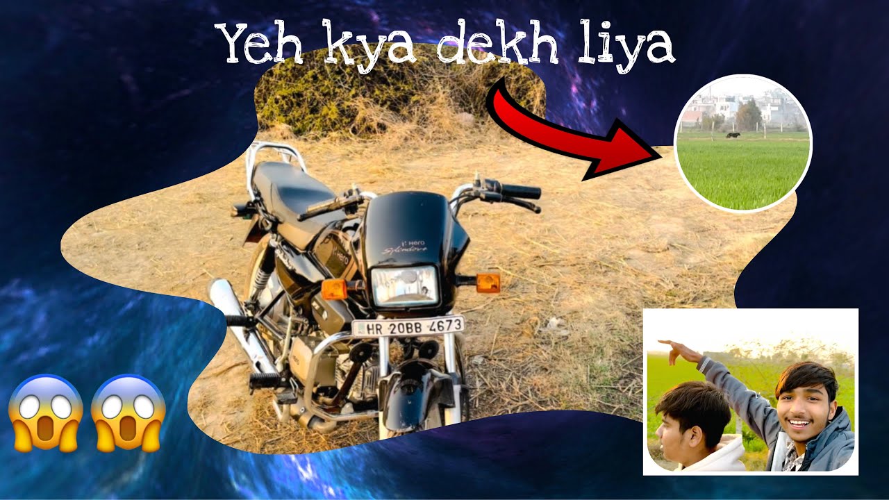 Aaj hamna khato vala rasta per deki lomdi 🦊😱