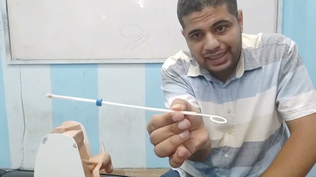 examination 4