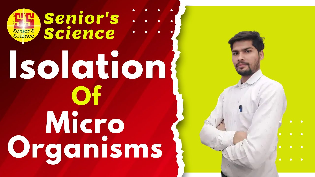 Isolation 🔬 of Microorganisms || How  to Microorganisms Isolate || Senior's Science|| By Ravi Sir