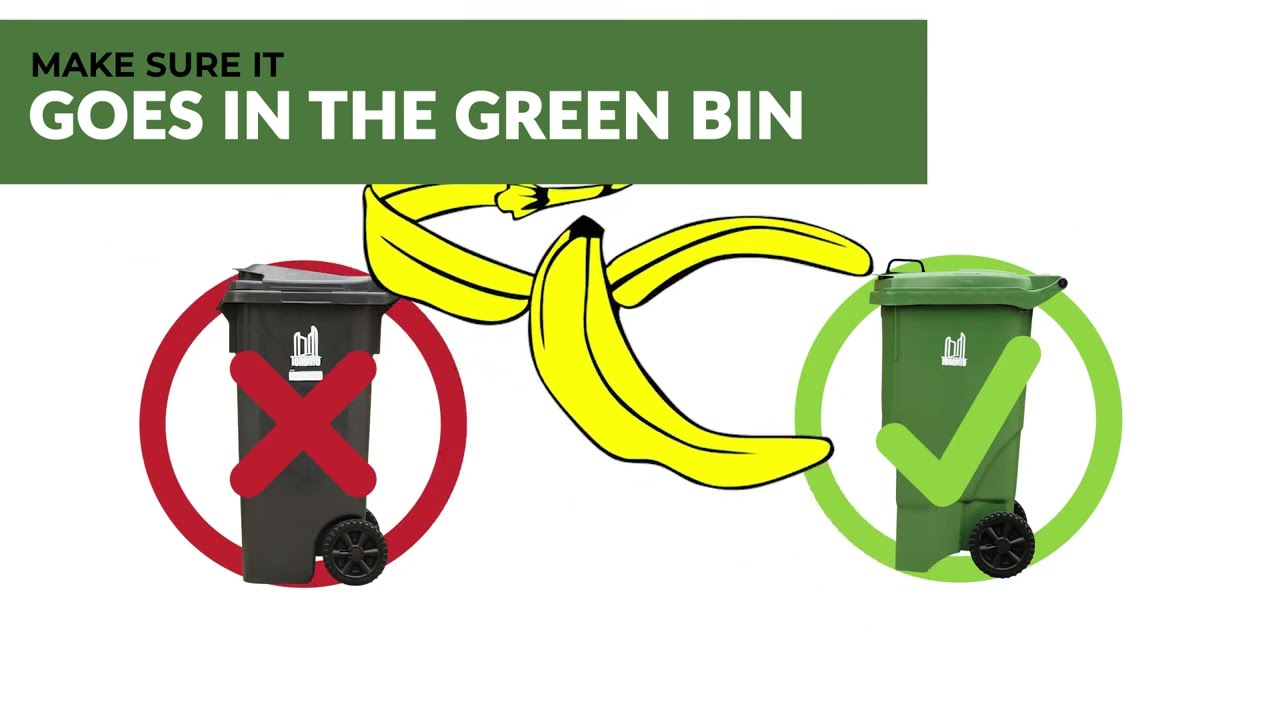 What happens to your organic waste