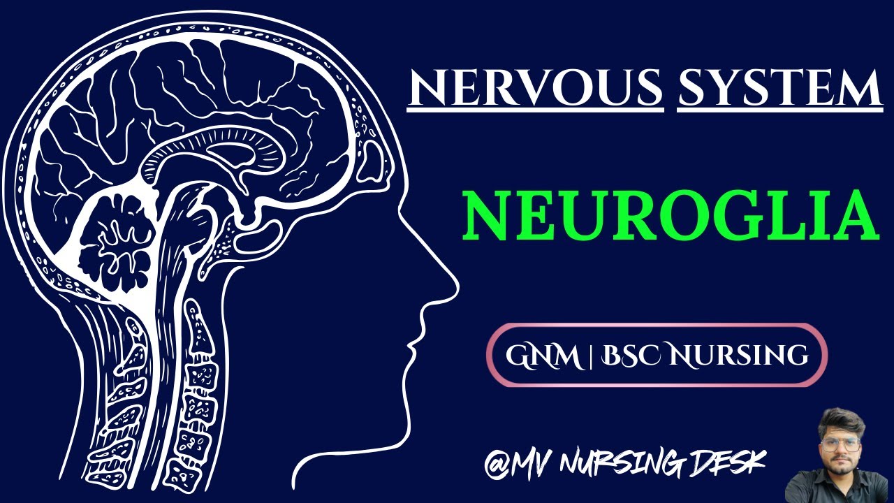 Neuroglia | Class - 3 | Nervous System | GNM & BSc Nursing | #nervoussystem #brain #anatomy