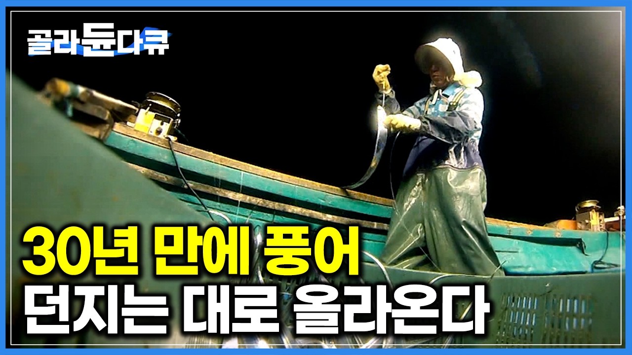 줄줄이 올라오는 씨알 굵은 놈. 통통하게 살 오른 은빛 물고기 쓸어담는 어부들｜제주 가을 바다 갈치 조업 현장｜극한직업｜#골라듄다큐