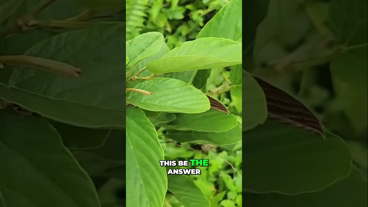 Her Blood Sugar DROPPED! Doctor Shocked! #wildhops