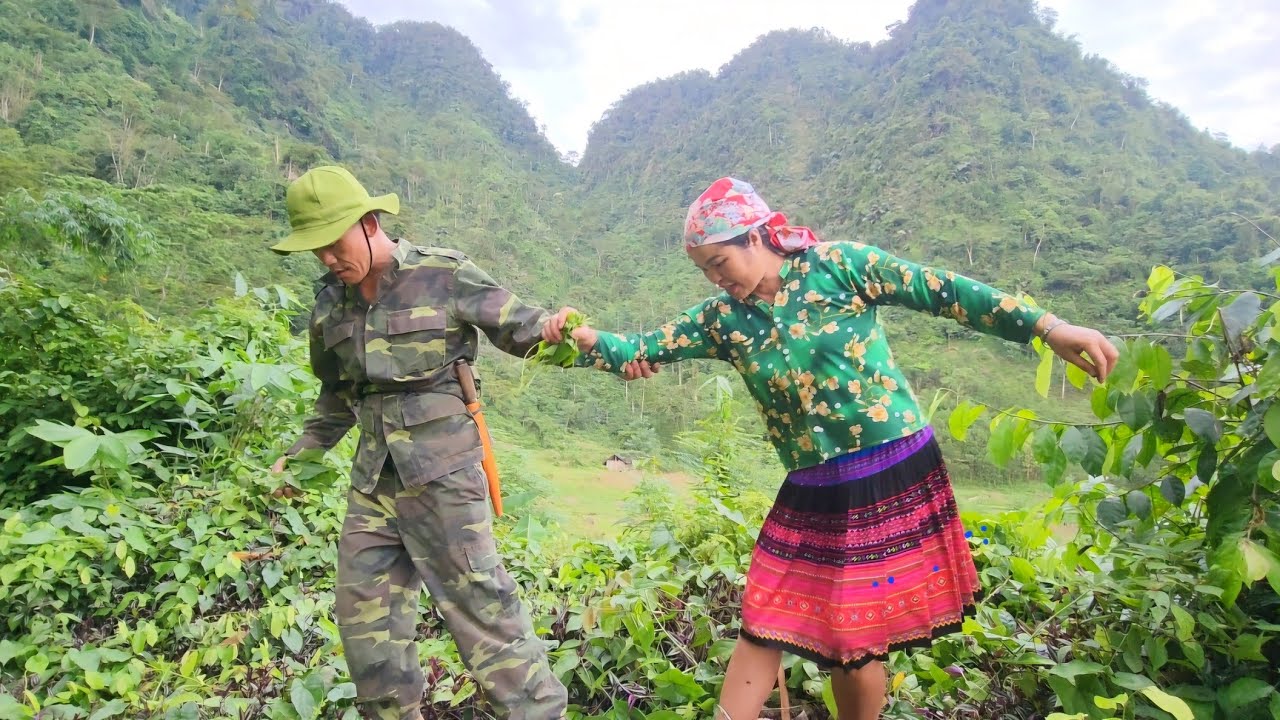 The girl uprooted rice seedlings to plant rice, picked vegetables and met the boy of her dreams