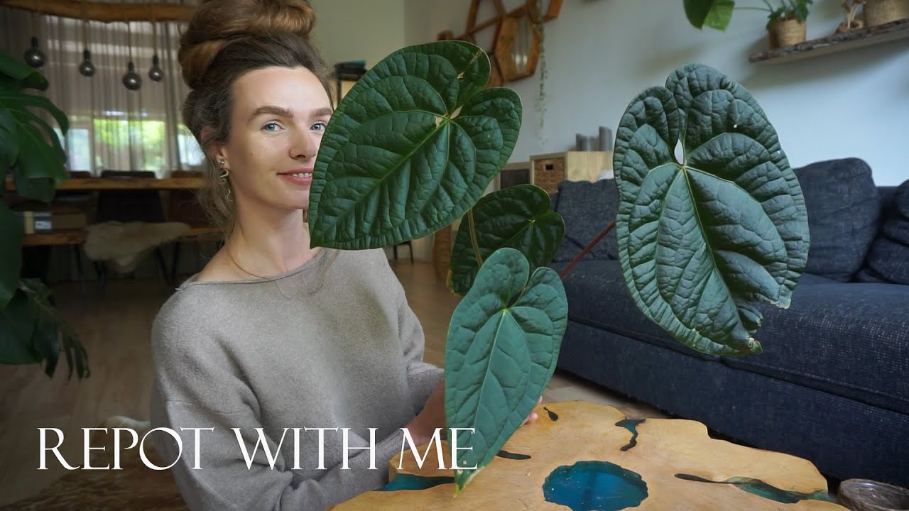 Spring repotting session | Repot with me