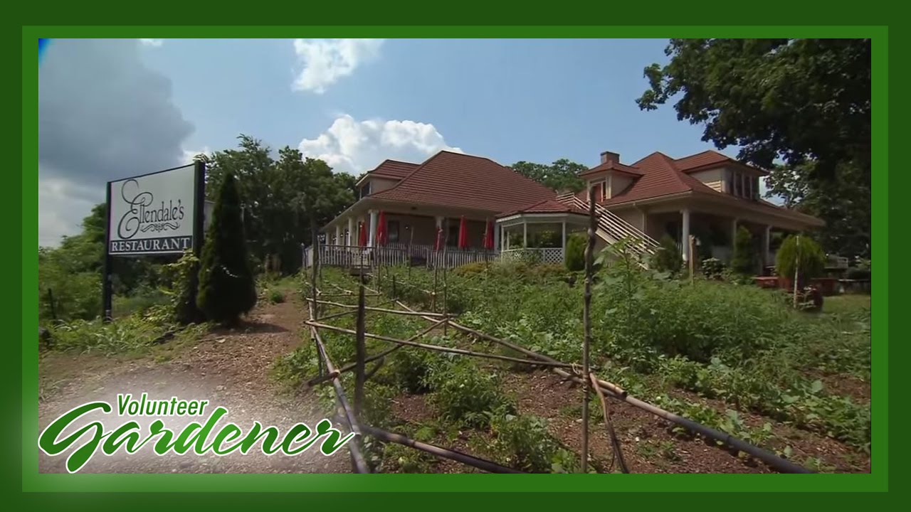 Ellendales Garden Tour | Volunteer Gardener