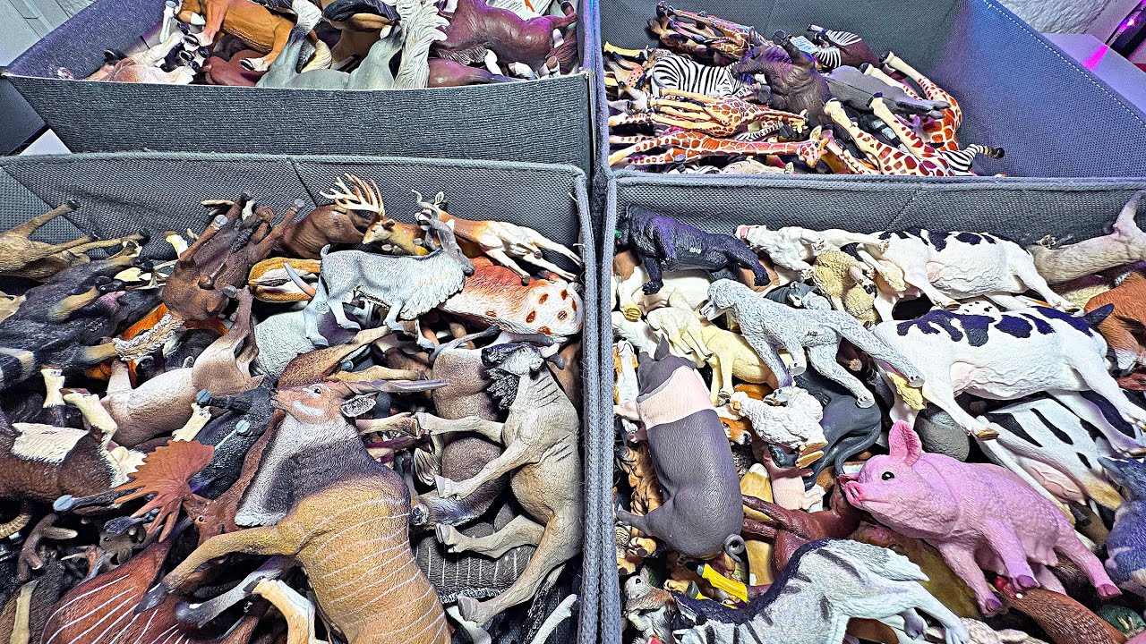 600 Animals! Farm Animals, Deers, Bovines, African Animals, Pets, Cats, Dogs, Giraffes, Zebras,