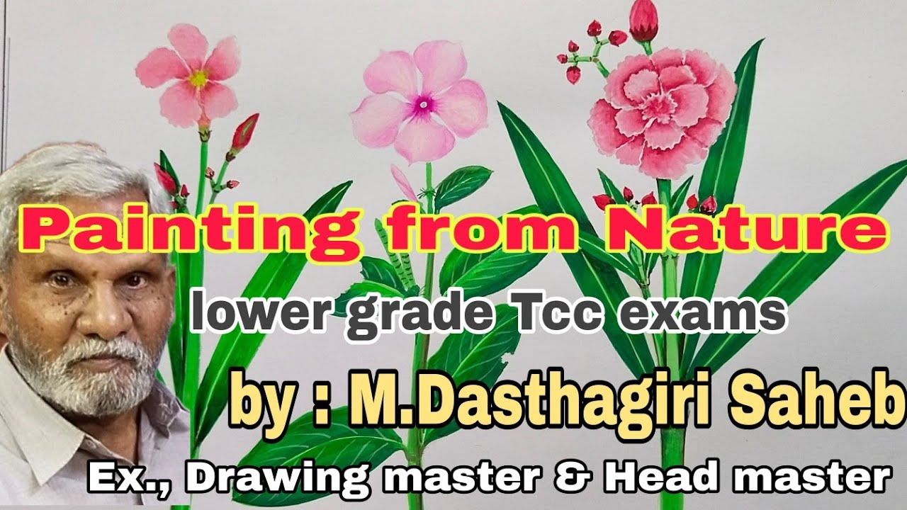 Painting from Nature lower grade Tcc exams