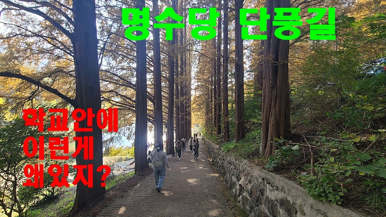 가보고싶은 단풍길 명수당(용인 외대 캠퍼스)