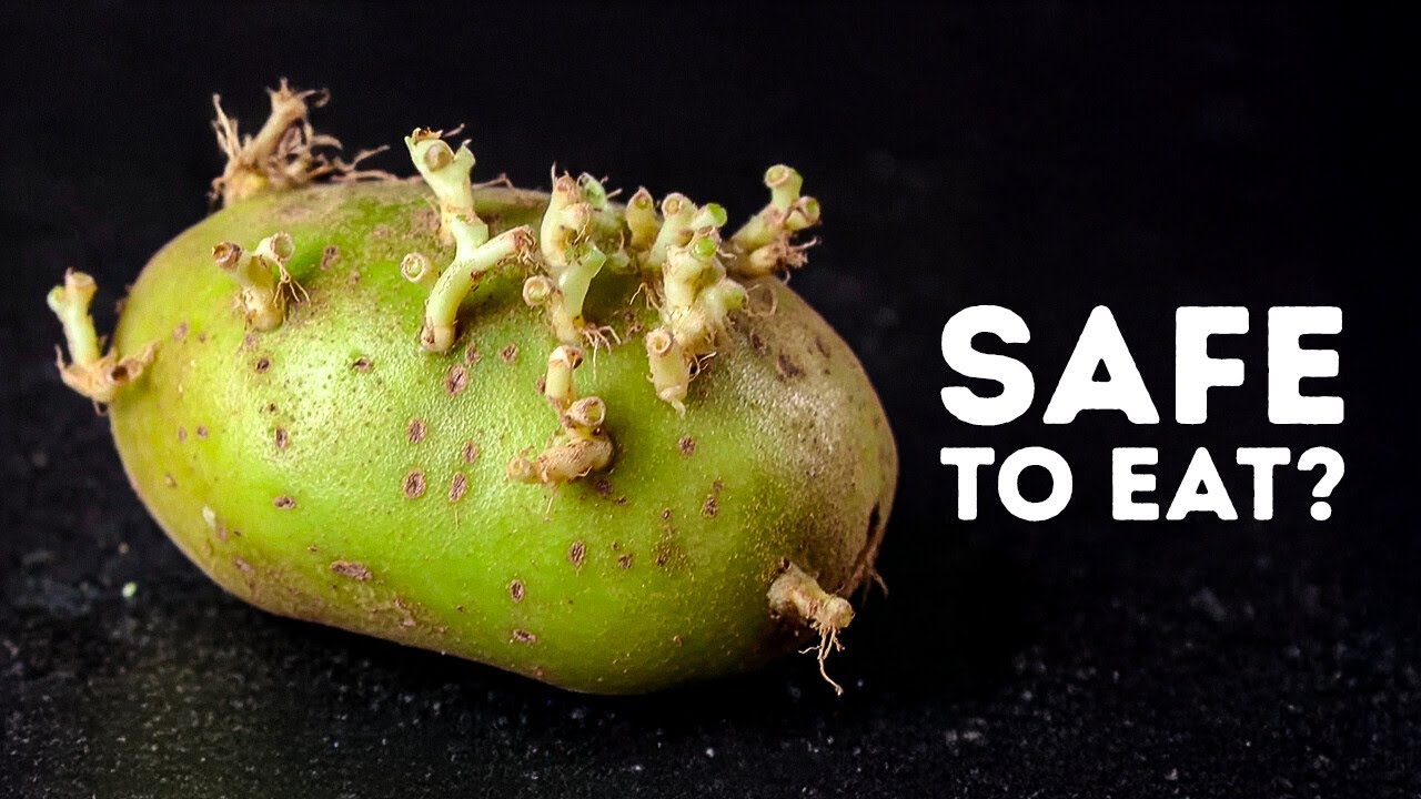 51 Safety Tips You&rsquo;ll Thank Yourself for Knowing