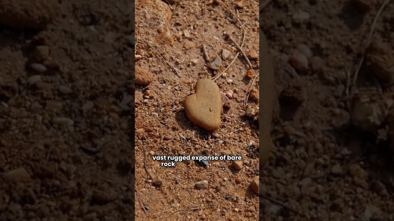 Монголия: Незабываемое приключение для самопознания! HD