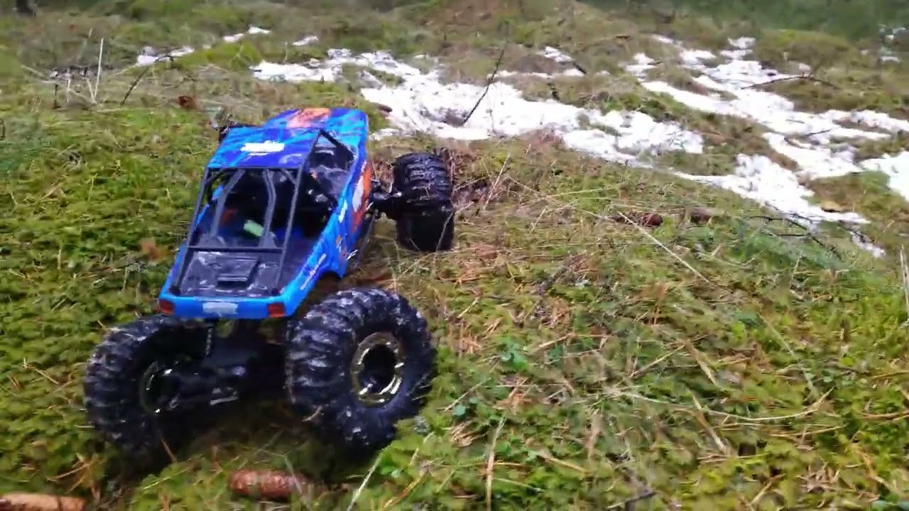 FTX Ravine forest crawling