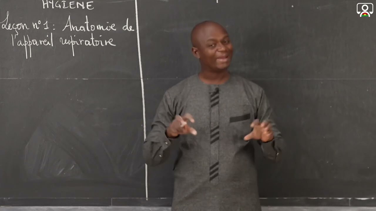 Cours - 3e - SVT : Anatomie de l'appareil respiratoire 1/1