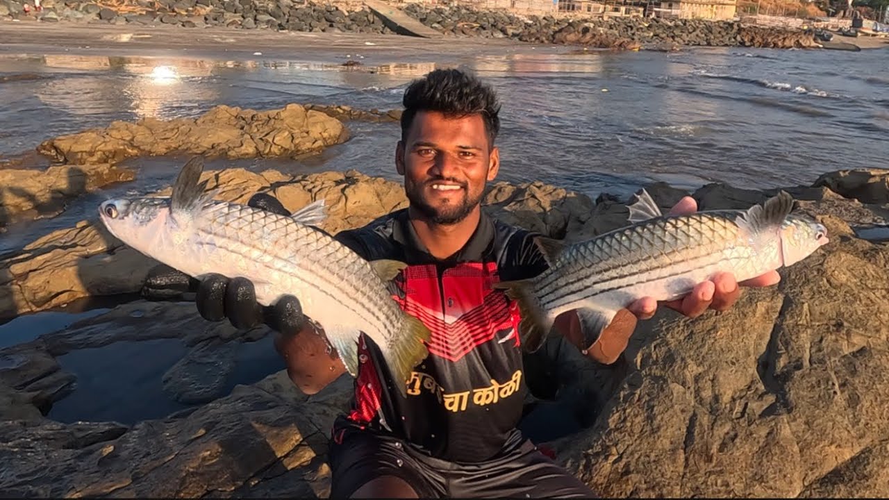 खुप दिवसानंतर गेलो पाग मासेमारी करायला. भेटले मिक्स मासे. cast net fishing. Mumbai India fishing
