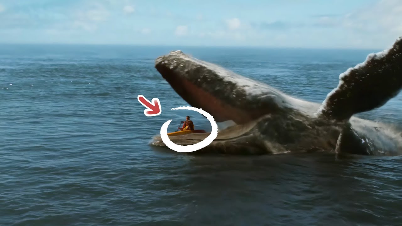 He Was Swallowed By A Whale: Can They Save Him in Time? | 9-1-1