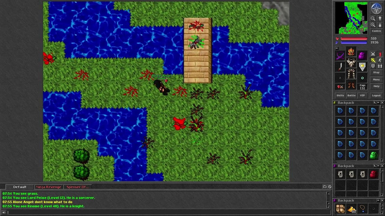Tibia [7.3] 73 ED Red skull on Rubera