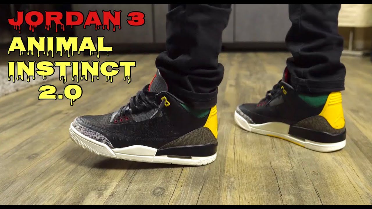 Air Jordan 3 Animal Instinct 2.0 on Foot