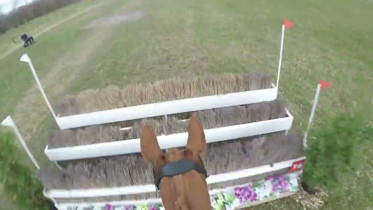 SGW Oudkarspel Manege Beukers M Cross en springen