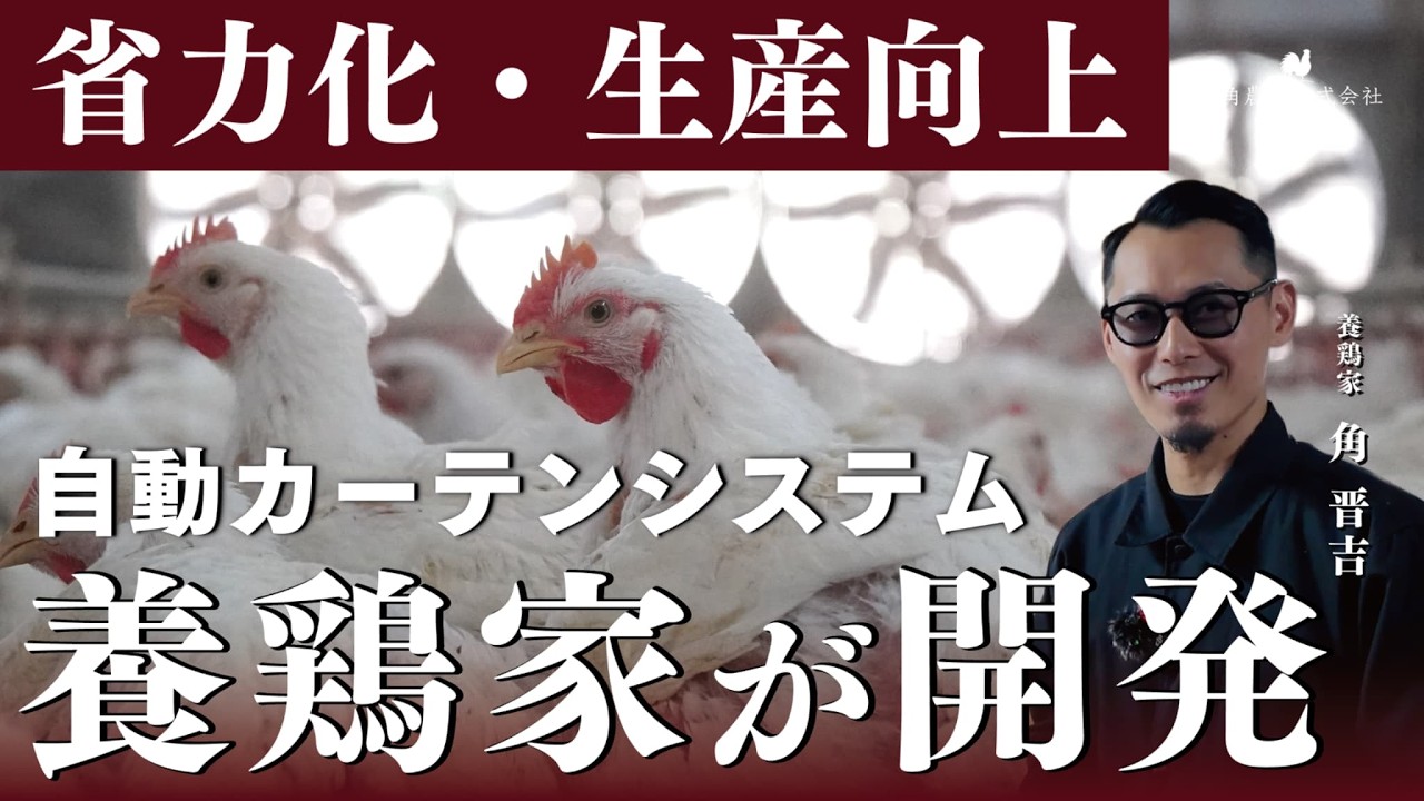 【養鶏システム】自動カーテンシステム｜養鶏家・角晋吉が養鶏農家さんの為に開発、現場目線の設計と機能をご紹介