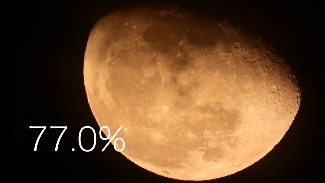 ♯38.  Moon Phases77.0%　Nikon P1100+Vixen　Feb 6, 2026