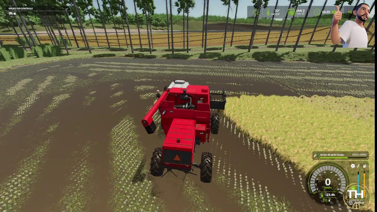 Colheita de arroz Farming 25