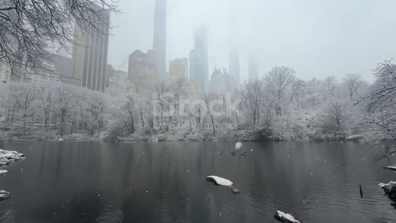 Snowing in Central Park New York City Part 6