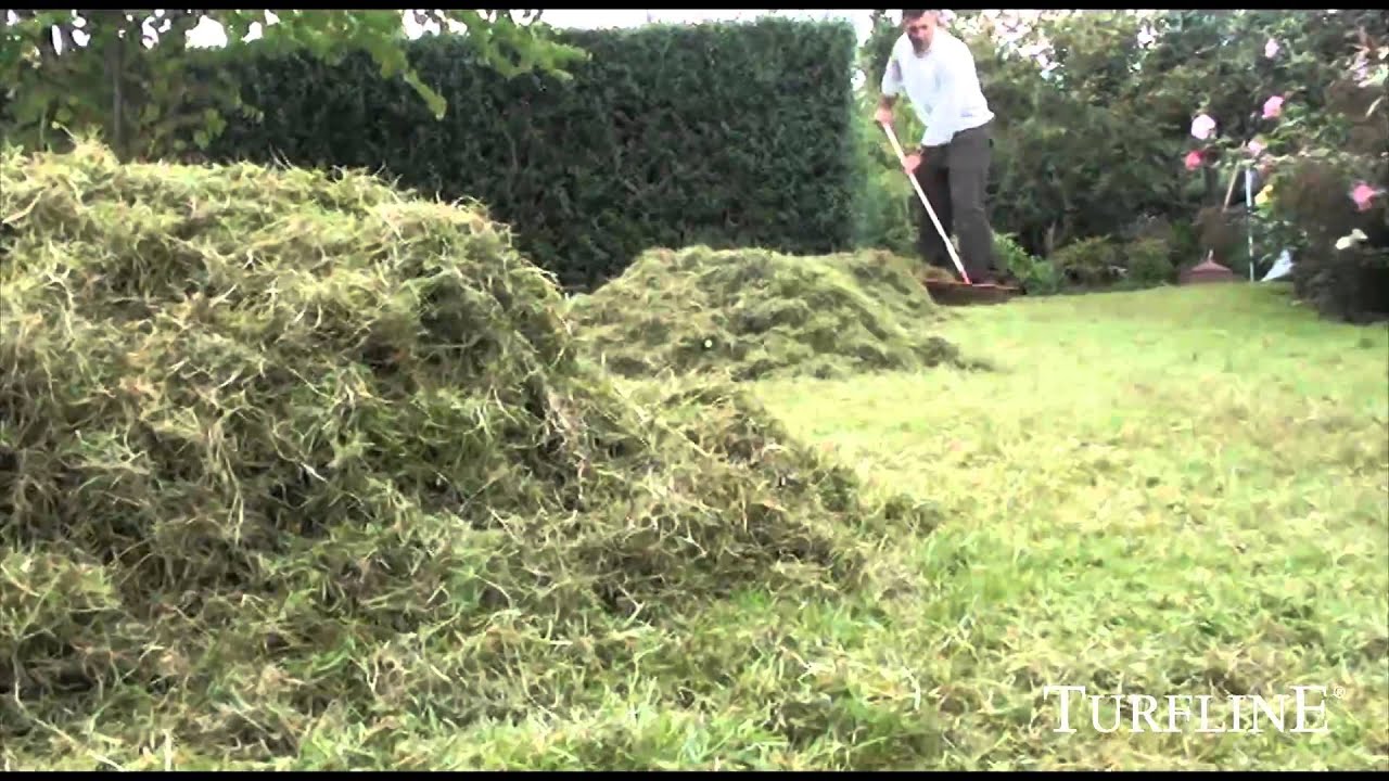 Entretenir et rénover votre gazon avec TURFLINE®