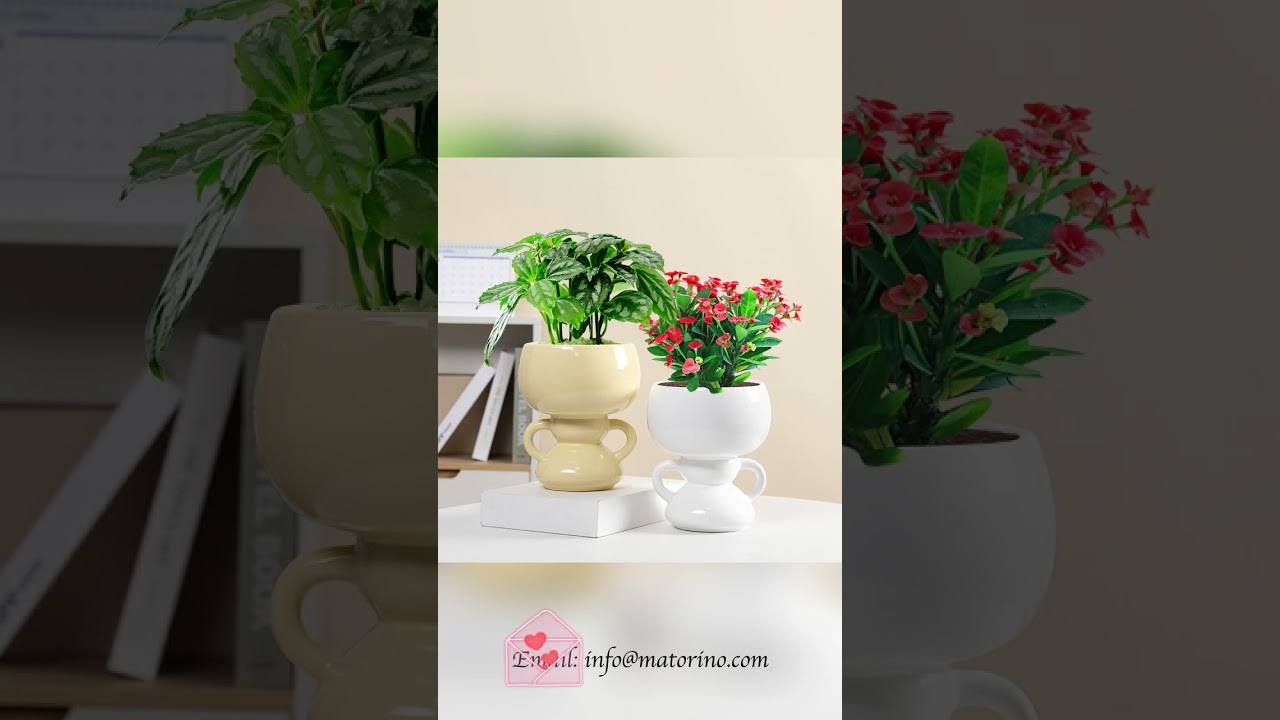 Matorino -Cute Indoor Plant Pot, Unique Flower Pot, Succulent or Cactus Planter with Drainage Hole
