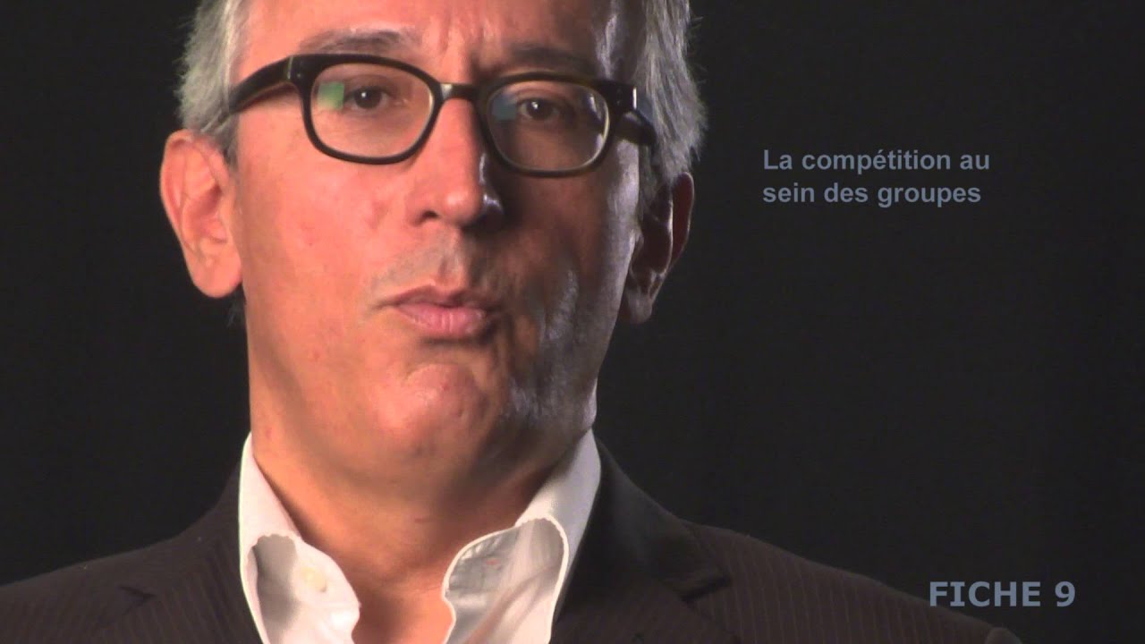 Fiche 9 - Les groupes stratégiques