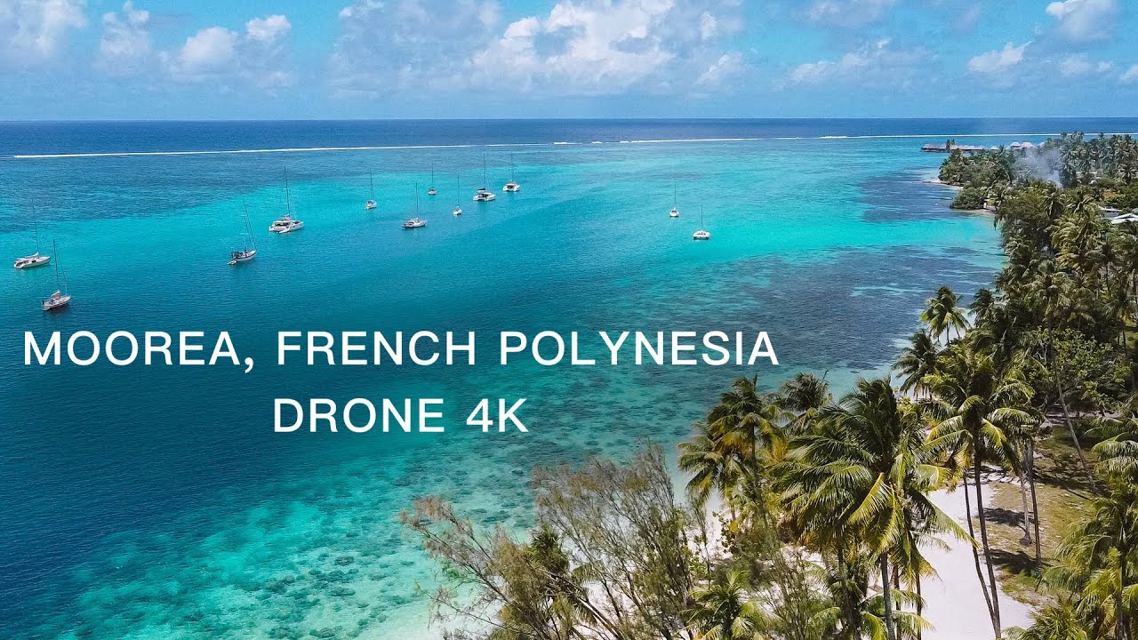 MOOREA, FRENCH POLYNESIA BY DRONE [4K]