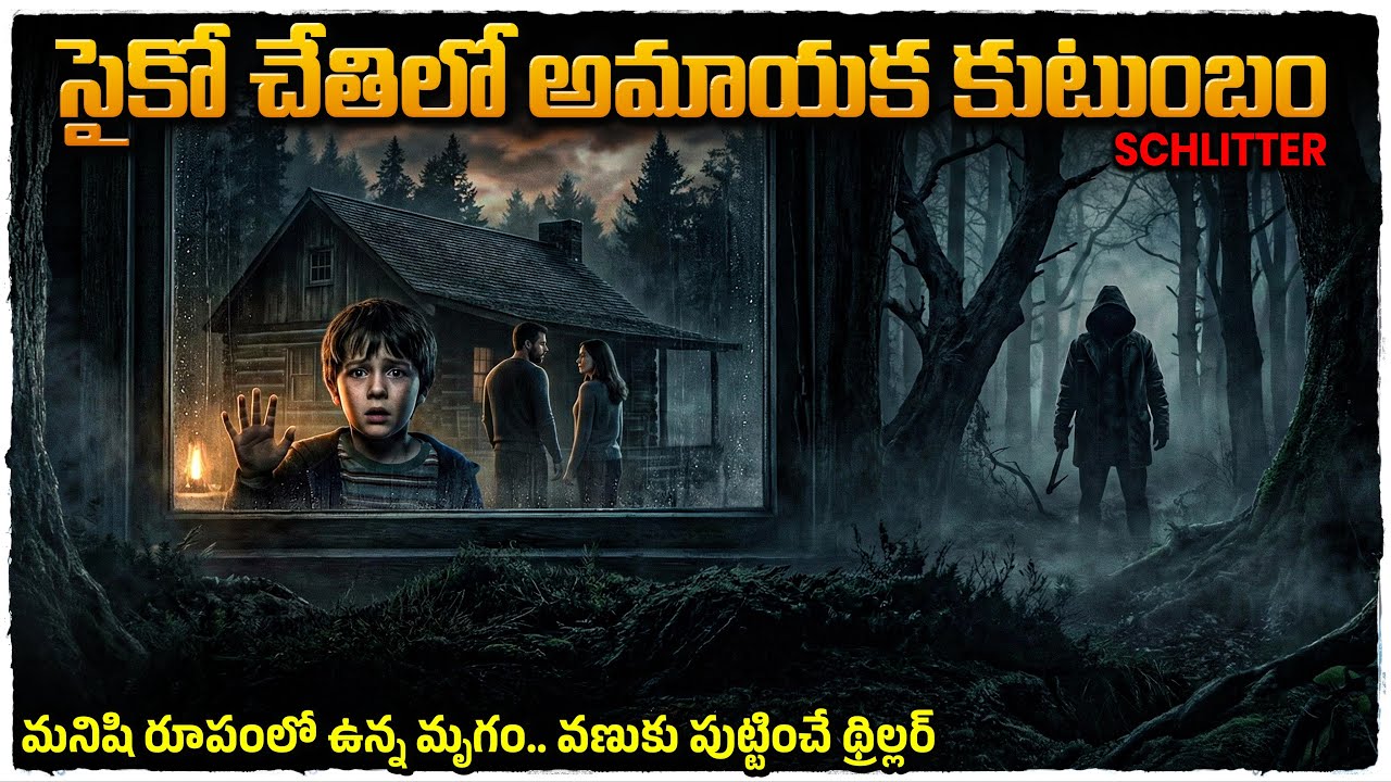 లాస్ట్ ట్విస్ట్ మామూలుగా లేదు | Movie Explained in Telugu | Voice Of Naveen 