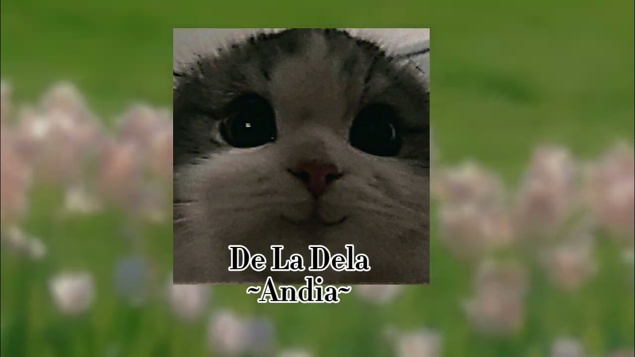 De La Dela ~Andia~ ||speed up #romania #speedup #music #moldova #romania #carlasdreams