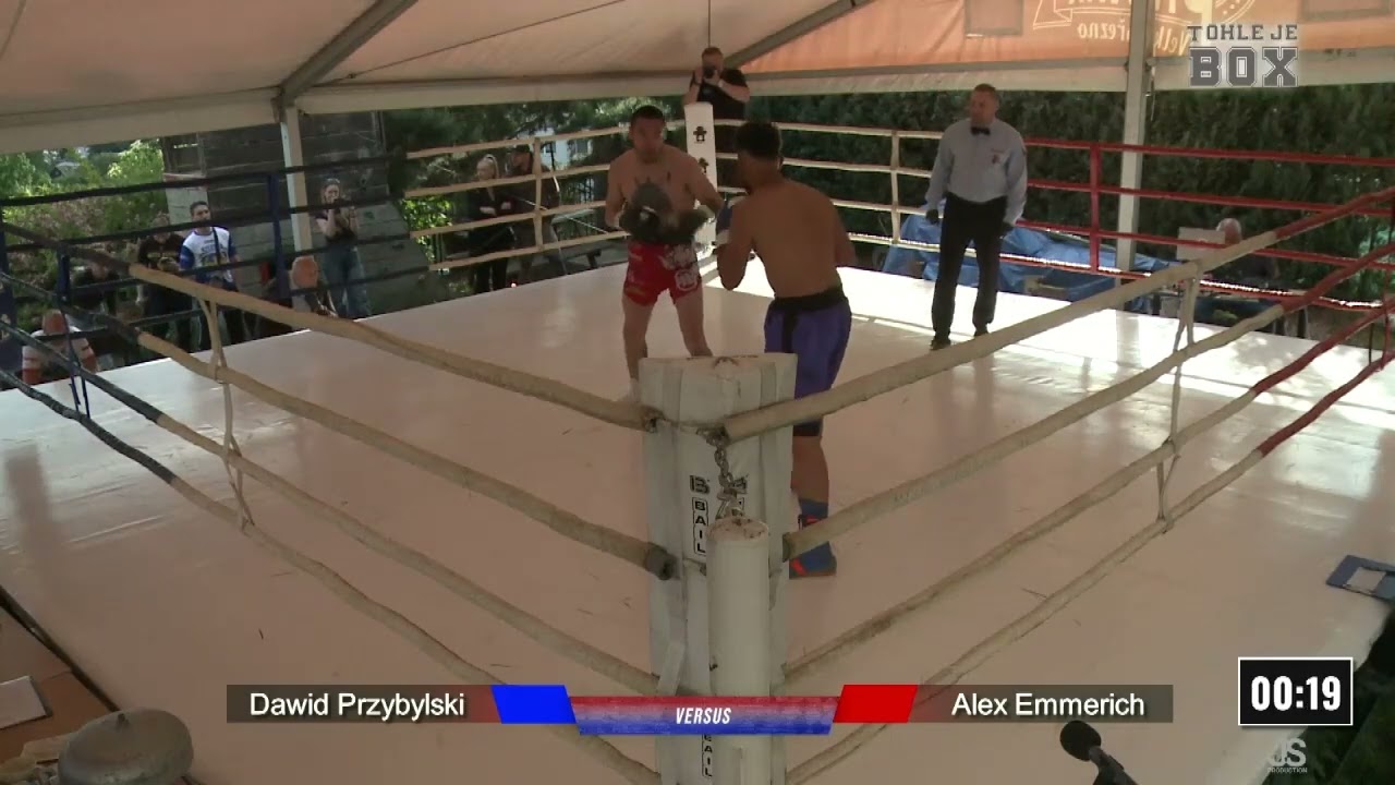 Dawid Przybylski - Alex Emmerich