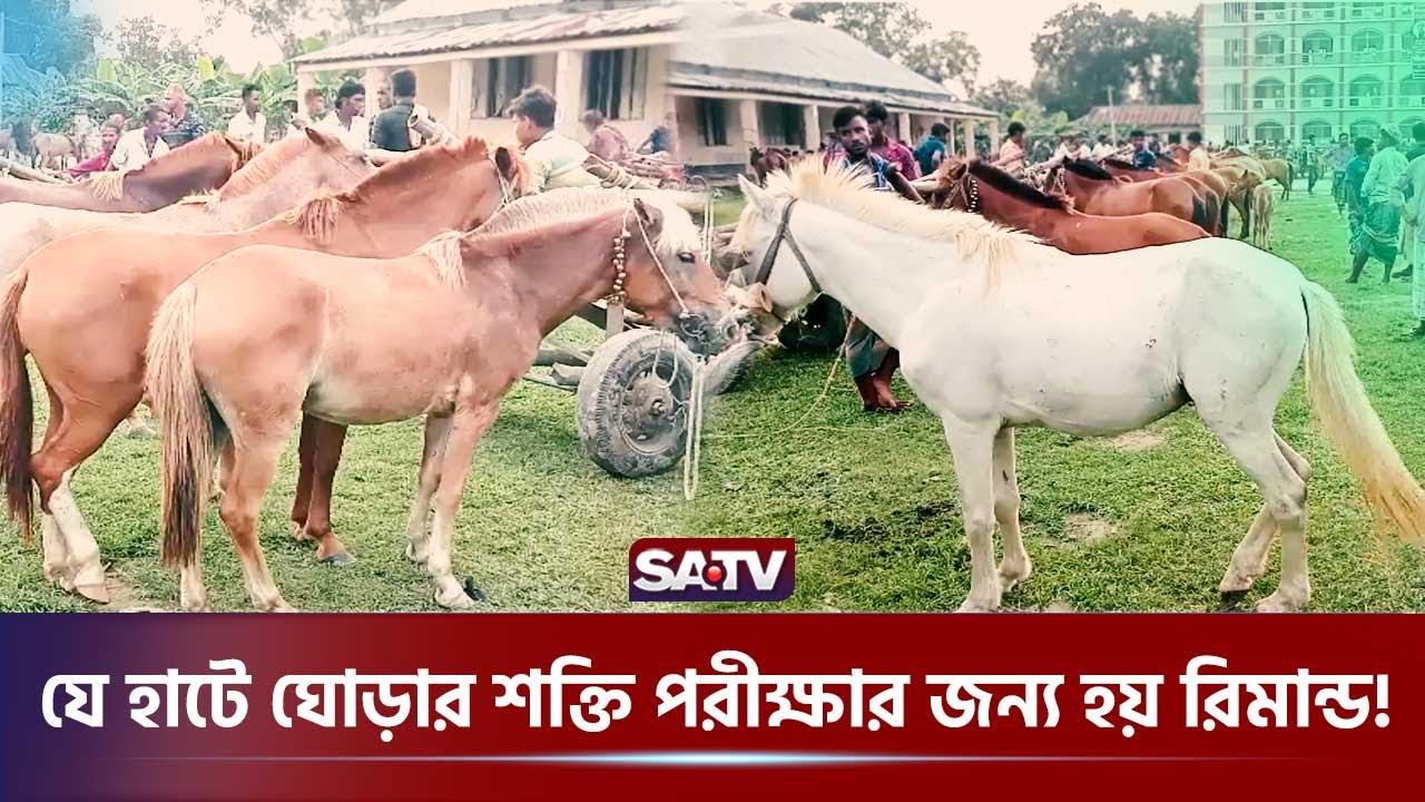 ৫০ বছরের ঐতিহ্যবাহী ঘোড়ার হাট | Horse Market | Jamalpur | Traditional Horse | SATV