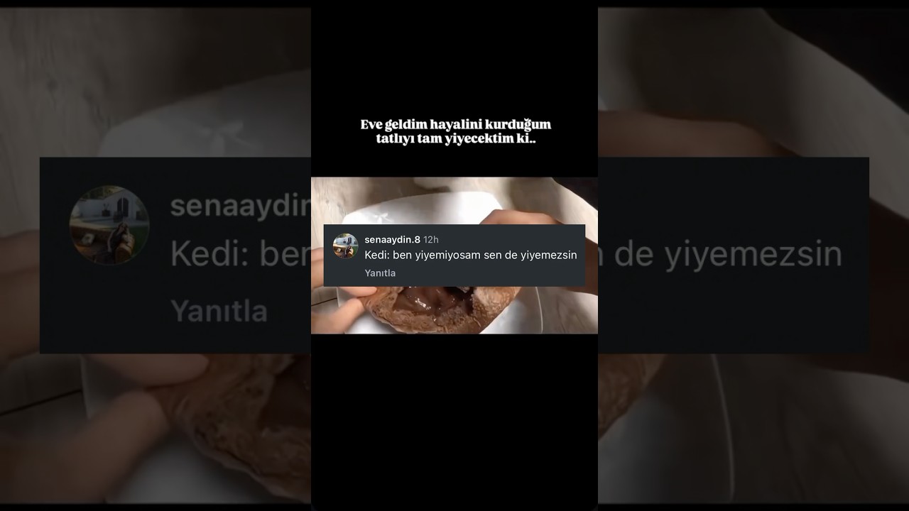 Kedi: Bana vermezsin demek haa 😹