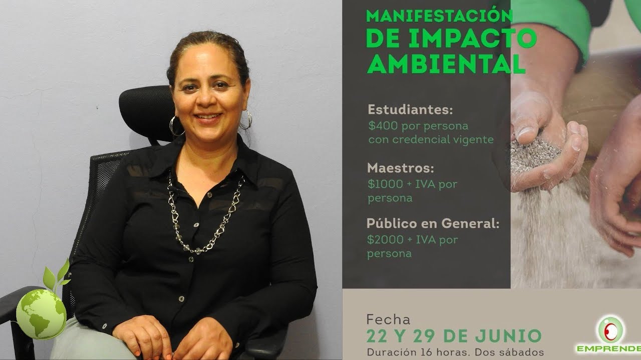 Entrega de la MIA ante la autoridad.