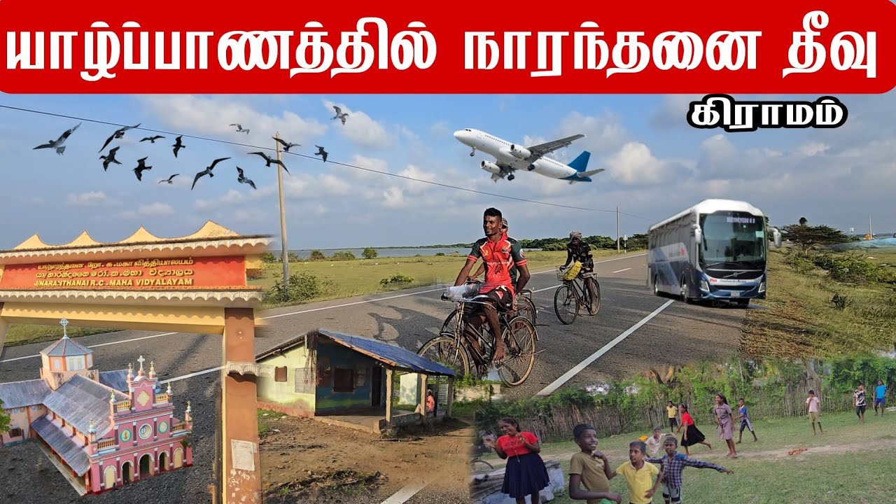 யாழ்ப்பாணத்தில் நாரந்தனை தீவு கிராமம்   Naranthanai Island Village in Jaffna _ JAFFNA DILAX