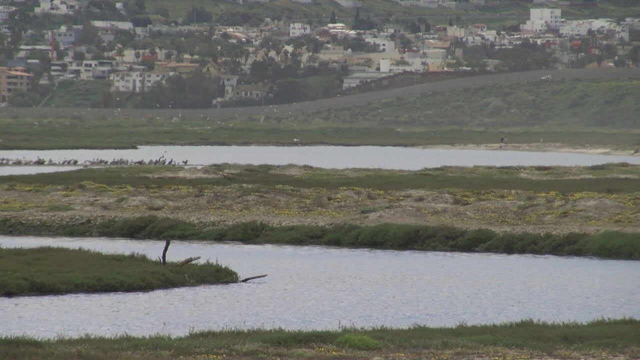 Cross-Border Dialogue Tackles Cross-Border Pollution Issue